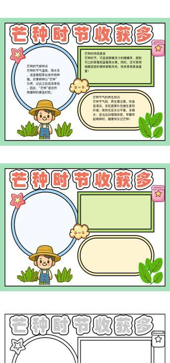 以芒种为题写篇作文600字（《绘芒种，青春色彩斑斓》）