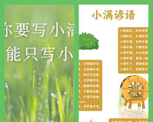 小满节气的优美文案有哪些？（《小满时节：谷物渐丰，文化流长》）