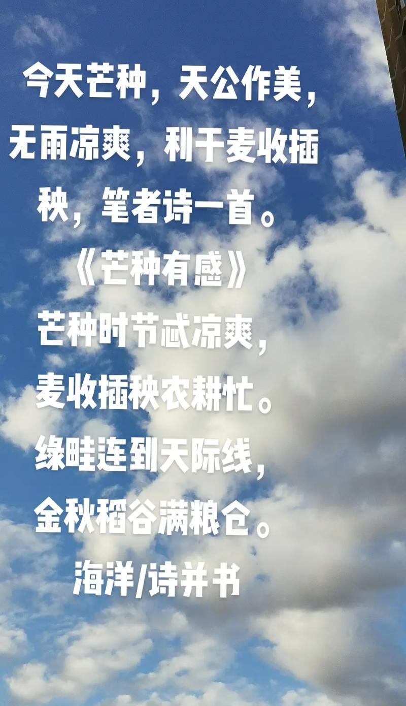 有关赞美芒种节的对联句子的好句有哪些（《芒种时节，古韵新风》）