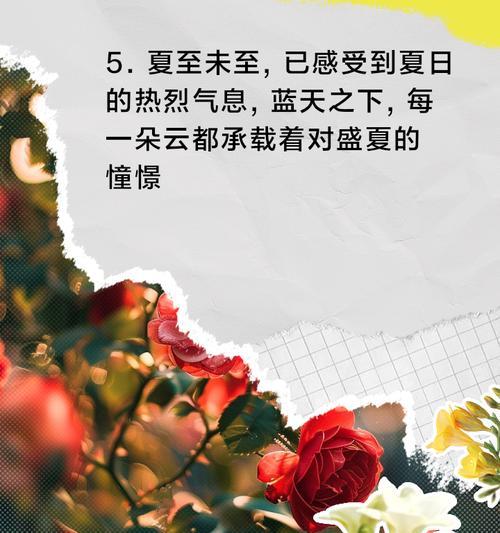夏日治愈夏至未至的句子好句有哪些？（《夏日清影，夏至情深》）
