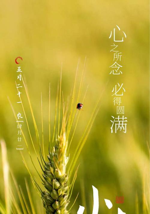 关于小满的文案开头怎么写（《满园春色关不住，一枝红杏出墙来》）