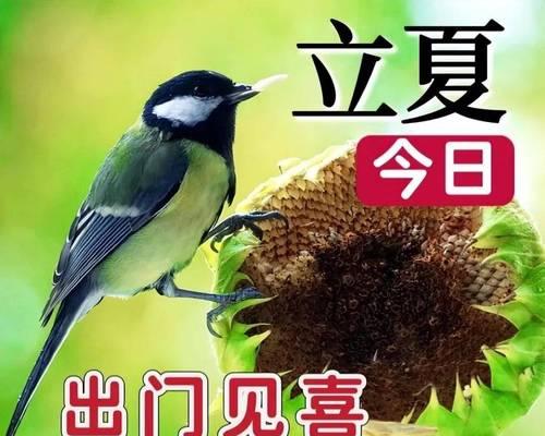 立夏祝福语有哪些？（立夏时节，万物生长：诗词里的四季流转）