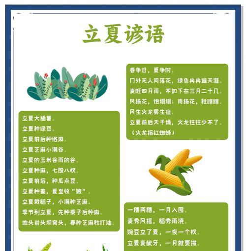 立夏称重祝福语好句有哪些？（《立夏称重，福泽绵长》）
