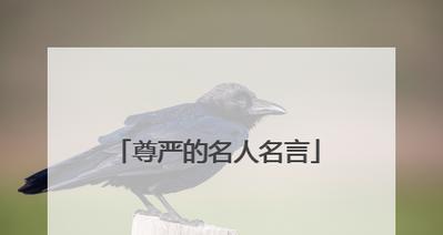用名言凝聚尊严的力量（用名言凝聚尊严的力量）