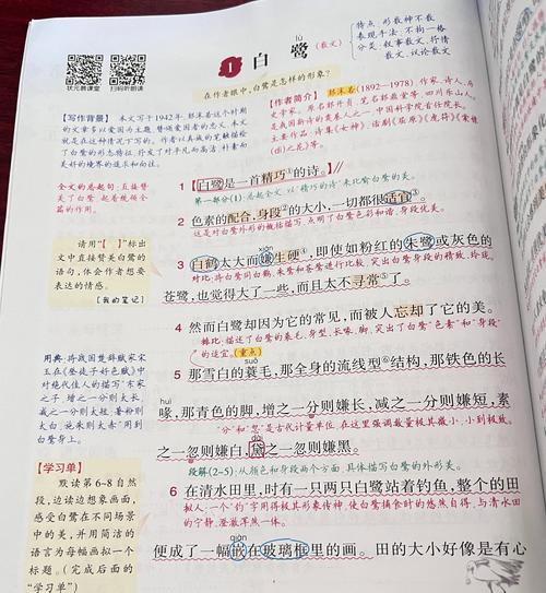 一行白鹭上青天的路是什么意思（《作文一行白露上青天》）