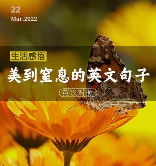 美丽的英文短句，梦幻的文字世界（赏析25个唯美英文短句）