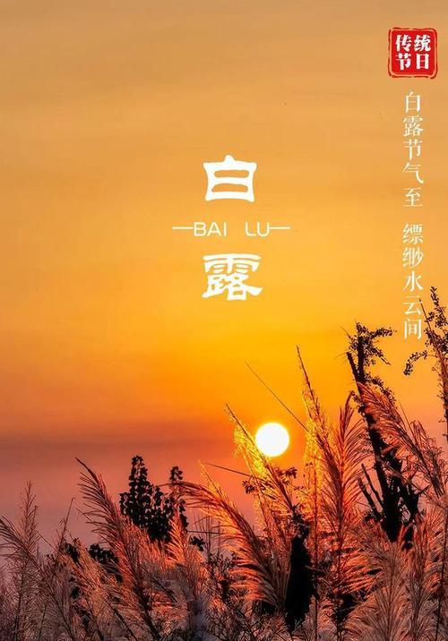 以白露的颜色作文为话题的作文怎么写（《白露映童心》）